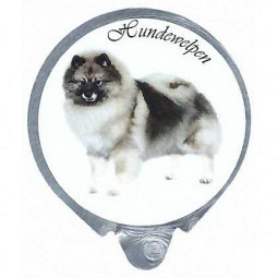 Schweiz - Bea`s Hundewelpen