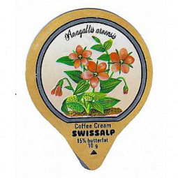 33 I - Wald & Wiesenblumen /G