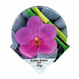 6.373 B - Zen II (2022)