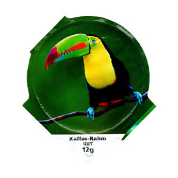 6.377 B - Exotische Vögel