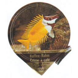 10 A - Zierfische /R