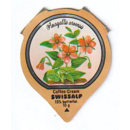 33 D - Wald & Wiesenblumen /R