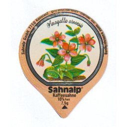 33 G - Wald & Wiesenblumen