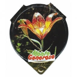 635  Monte Generoso /R