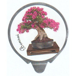 Schweiz - Bea`s Bonsai