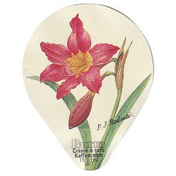 412 CC - Blumen und Früchte /AL