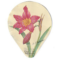 412 AAA - Blumen und Früchte /SP