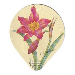 412 E - Blumen und Früchte /SP