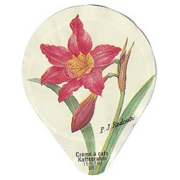 412 D - Blumen und Früchte /AL