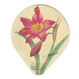 412 G - Blumen und Früchte /AL