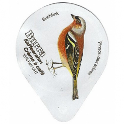 406 A - Vögel-glanz