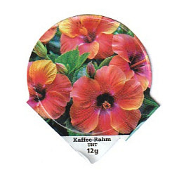 6.409 B - Exotische Blüten