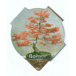 612  Bonsai /R