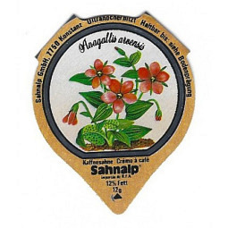 33 E - Wald & Wiesenblumen /R