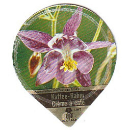 21 E - Alpenblumen /G