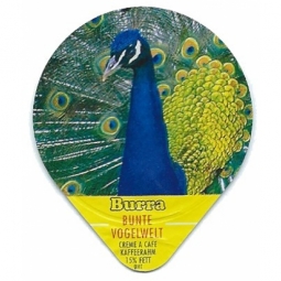 440 A - Bunte Vogelwelt