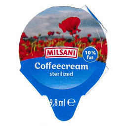 B 05 B - Milsani Blumen