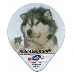 4.133 C - Schlittenhunde