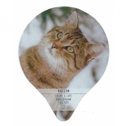 PS 31/94 A - Katzen /G