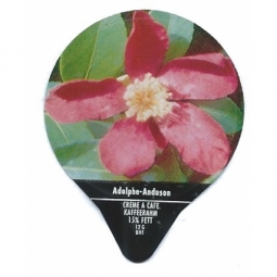 PS 29/94 A - Kamelien /G