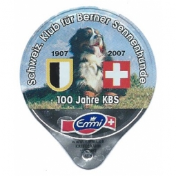 1.462 A - Berner Sennenhunde