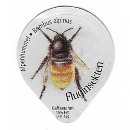 849 A - Fluginsekten