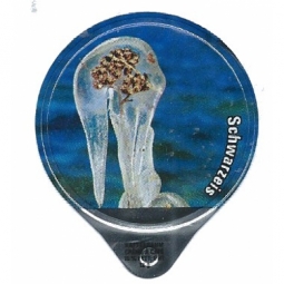 1.466 C - Schwarzeis