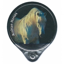 1.468 C - Arabien Horses