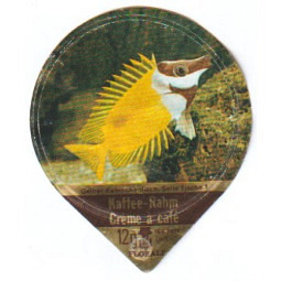 10 A - Zierfische /G