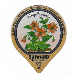 D-21 B - Wald & Wiesenblumen