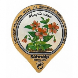 D-21 C - Wald & Wiesenblumen