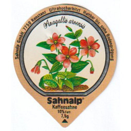 33 F - Wald & Wiesenblumen