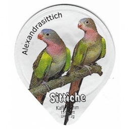 8.111 A - Sittiche