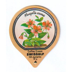 33 D - Wald & Wiesenblumen /G