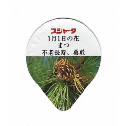 Japan - Jahresblumen I