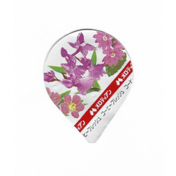 Japan - Mini Melodian S-137A/R