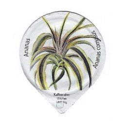 8.145 - Zierpflanzen /G