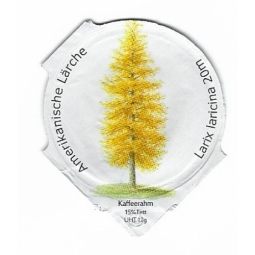 8.151 A - Nadelbäume /R