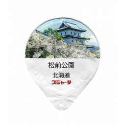 Japan - Kirschblueten I