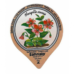 33 E - Wald & Wiesenblumen /G