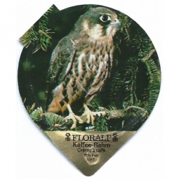 49 A - Einheimische Wildtiere / R sch.