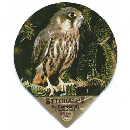 49 A - Einheimische Wildtiere / G br.