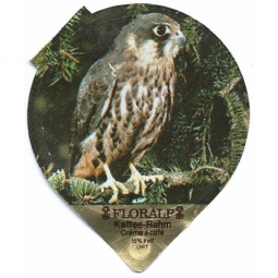 49 A - Einheimische Wildtiere / R br.