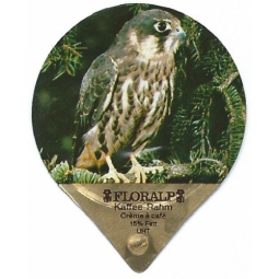 49 B - Einheimische Wildtiere / G 