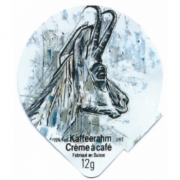 218  B - Tiere gezeichnet II / R