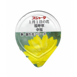 Japan - Jahresblumen II