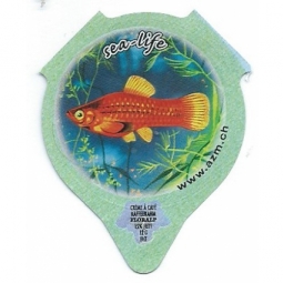7.402  Sea Life /R