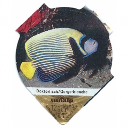 313 A - Salzwassertiere /R