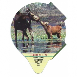 7.111 - Tierbabys /R