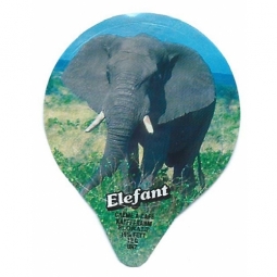 7.162  Elefant /G
